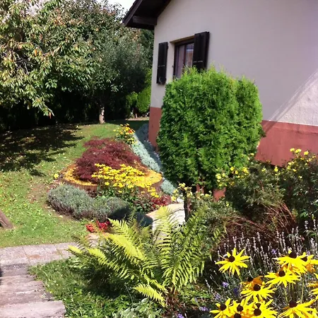 Le Lotus Zen Froideville