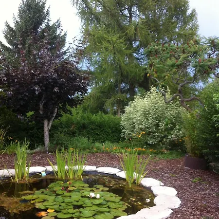 Le Lotus Zen Oda ve Kahvaltı