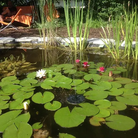 Oda ve Kahvaltı Le Lotus Zen