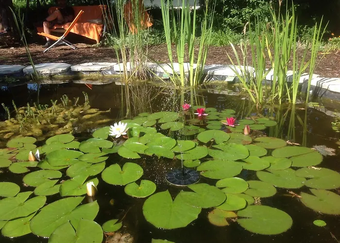 Nocleg ze śniadaniem Le Lotus Zen