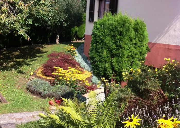 Le Lotus Zen Froideville