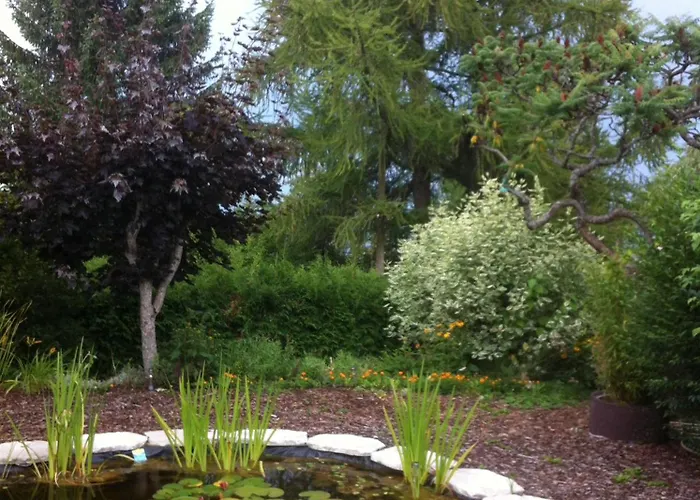 Le Lotus Zen Bed & Breakfast